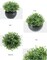 Fake Sage Small Potted Plants – Mini Artificial Succulents Grass Desk Plant in Black Pot for Shelf Decor, Office, Coffee Table, Masculine Home & Indoor Modern Decor